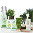 thumbnail image 2 of Pure Parker Heaven & Earth Cucumber Melon & Green Tea Canasta de t? Pure Parker Pure Parker Heaven & Earth Cucumber Melon & Green Tea Canasta de tŽ, 2 of 2