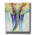 thumbnail image 1 of Epic Graffiti 'Elephant Colors' by Michelle Faber, Canvas Wall Art, 26"x30", 1 of 8