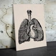 thumbnail image 4 of Lung Structure Art Painting Waterproof Decorative Colorful Detachable High-resolution Decorative Decor Picture Indoor Living Room Classroom School Teaching Poster with Frame, 4 of 7