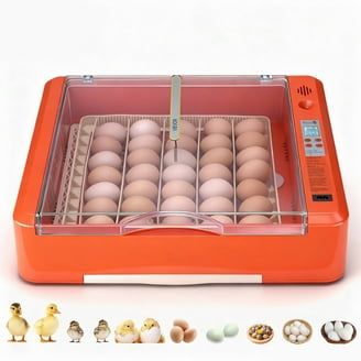 Hairycotar 36 Egg Incubator, Automatic Egg Turner, Temperature and