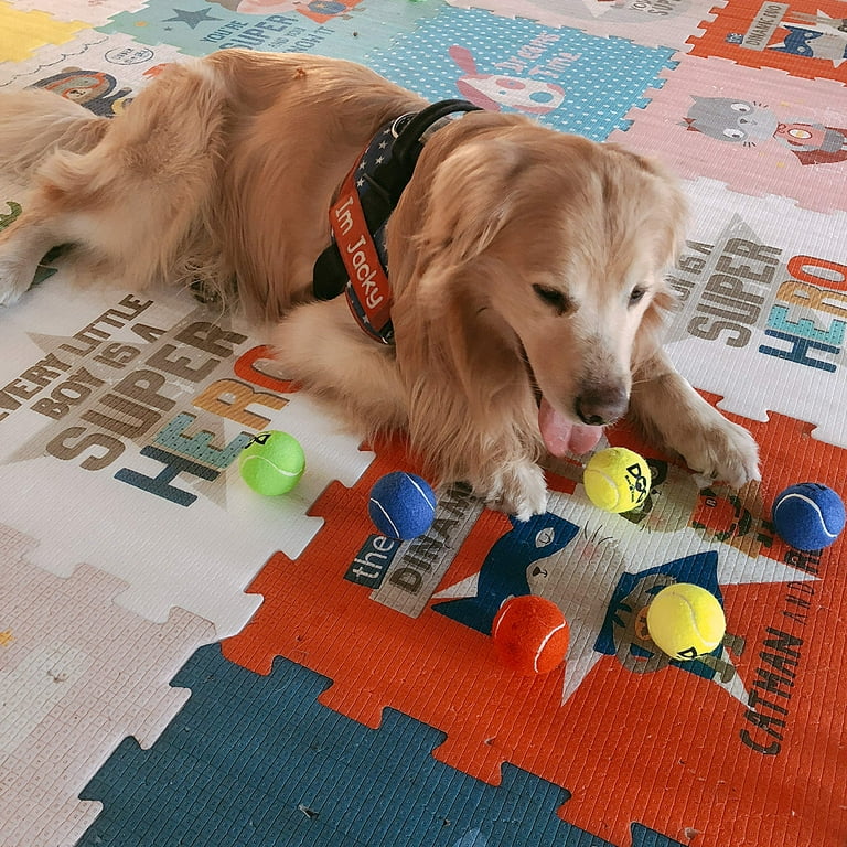 Insum Tennis Balls For Small Dogs Pack Of 12 Colorful Easy, 51 OFF