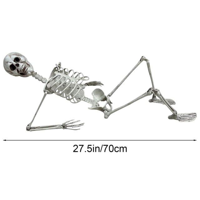 Tyidzon 170cm Halloween Skeleton Prop Human Full Size Skull Hand Life Body Anatomy Model Decor