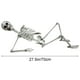 thumbnail image 1 of Decoraciones de Halloween, adornos de Halloween, regalos de Halloween, esqueleto de Halloween de 170 cm, accesorio de cráneo humano de tamaño completo, mano, cuerpo, anatomía, modelo, decoración, crán, 1 of 6