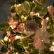 Efavormart 7FT | 20 LED Blush/Rose Gold Artificial Rose Flower Garland ...