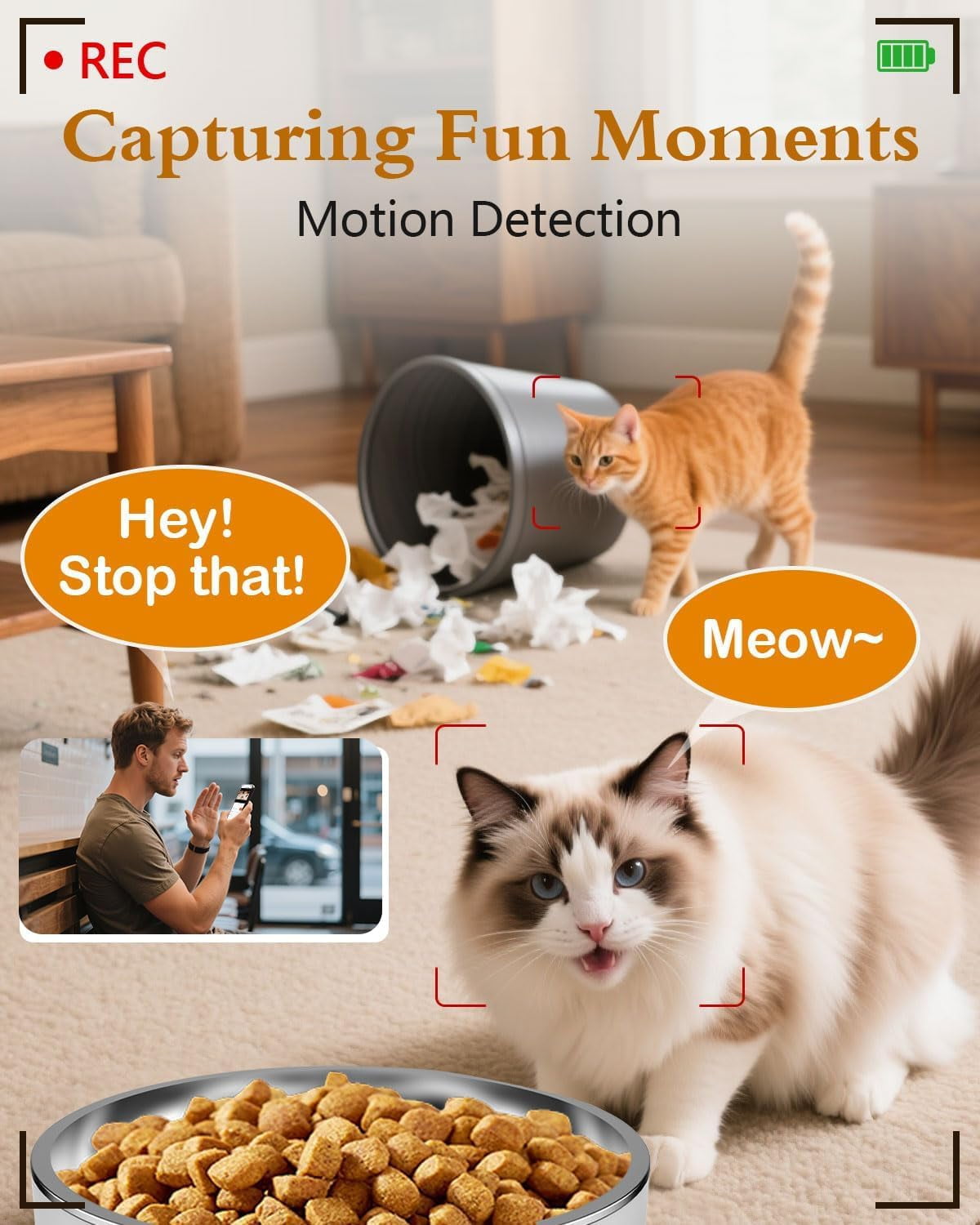 Automatic Cat Feeder with Camera - 5G WiFi App Control, 4L Stainless Steel Bowl, HD 1080P Night Vision for Small Pets