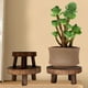 thumbnail image 4 of Madera maciza, Mini soporte para maceta, taburete de madera maciza, soporte redondo para maceta El 14x6x9cm kusrkot Soporte portátil para macetas, 4 of 8