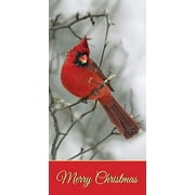 Christmas Card Money Holder (3.5x6.5) by Fravessi |Envelope For Money, Cash, Checks, Gifts | 10 Pack (Red Cardinal Bird)