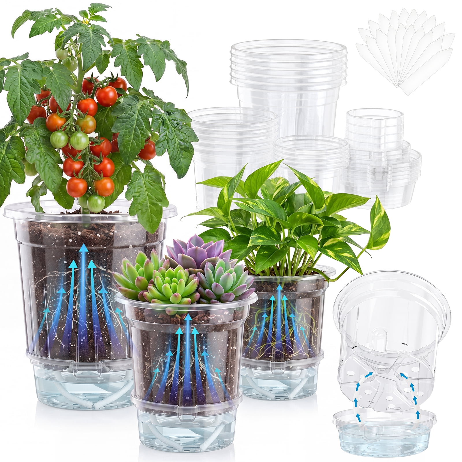 Xueyu 18-Pack Clear Self-Watering Plant Pots with Labels photo 1