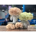 thumbnail image 2 of Artificial Flowers Large Silk Hydrangea Heads with Stems 90 Petals Fake Flowers for Wedding Home Party Shop Baby Shower Decor Pack of 6 (White), 2 of 5