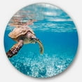 thumbnail image 2 of Designart - Large Hawksbill Sea Turtle' Disc Abstract Metal Circle Wall Decor, 2 of 4