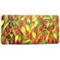 thumbnail image 2 of Stephan Roberts Home 39N-PAF111-10 Tapis de Cuisine Anti-Fatigue 20 x 39 Po - Piments, 2 of 2