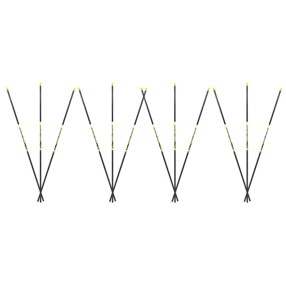 Carbon Express D-Stroyer Small Diameter Arrows - .400 Shafts 12-Pack
