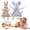 Z_2Pack, variant on Dog No Stuffing Plush Toy - Squeaky Crinkle Chew Fetch interactive Toy, Tough Durable for Small/Medium/Large Dogs,Brown