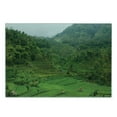 thumbnail image 3 of Balinese Cutting Board, Terraced Rice Paddies in Hillside Tropical Valley Farming Life Agriculture Theme, Decorative Tempered Glass Cutting and Serving Board, Small Size, Green, by Ambesonne, 3 of 5