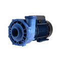 thumbnail image 1 of 1 Speed 2 HP 48F 230V Spa Pump with 8 ft. Amp Cord, 1 of 1
