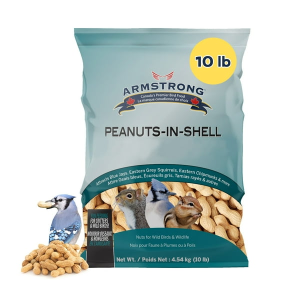 Armstrong Wild Bird Food Peanuts-In-Shell, 10 Pounds - for Blue Jays, Eastern Grey Squirrels and Eastern Chipmunks – Ideal for Outside Feeders