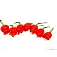 thumbnail image 4 of Carolina Reaper Chili Peppers Wicked Reaper World's Hottest Dried Spice Pack 5 +2 Free, 4 of 4
