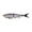 Rainbow Trout, variant on Berkley PowerBait® Nessie, 11 in, Rainbow Trout