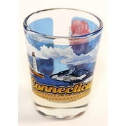 Connecticut State Wraparound Shot Glass