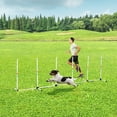 thumbnail image 2 of PawHut Adjustable Dog Agility Training Obstacle Set White, 2 of 9
