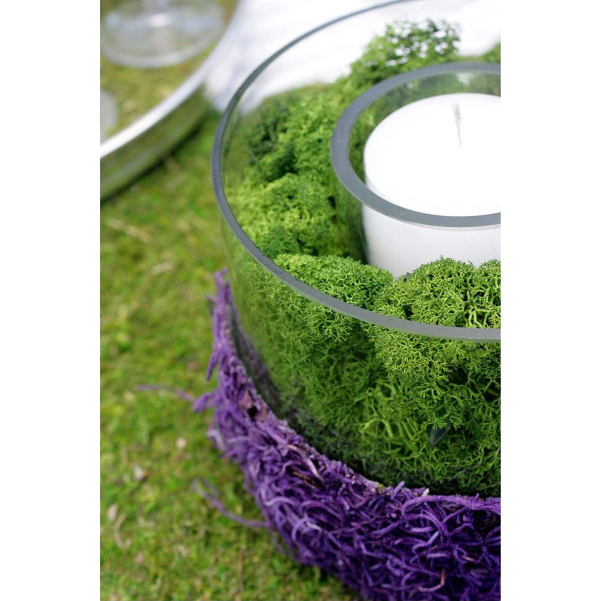 SuperMoss Preserved Reindeer Moss - 8oz.