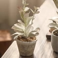 thumbnail image 3 of Realistic Green Plant in Ceramic Pot, 3 of 7