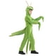 thumbnail image 3 of Disfraz de Mantis Religiosa para Niños Temporadas Talla S (4-6) Poliéster, 3 of 8