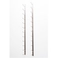 thumbnail image 2 of VintageView Wall Series (4 Ft) - 12 Bottle Wall Mounted Wine Rack (Brushed Nickel) Stylish Modern Wine Storage with Label Forward Design, 2 of 7
