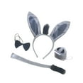 thumbnail image 1 of Accesorios de Disfraces de Fiesta Infantil Salvador Disfraz de Conejo 4 piezas, 1 of 10