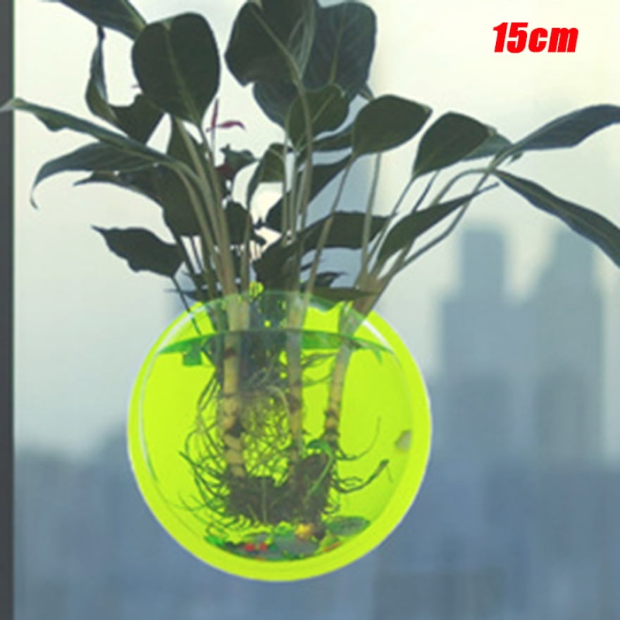 Ringshlar Hanging Wall Mounted Fish Tank Bowl Aquarium Plant Fish