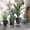 Gray, variant on Outsunny Outdoor Planters Set of 3 with Drainage Holes, Flower Pots, Gray