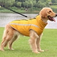thumbnail image 3 of Traje de exterior para perros grandes, suministros para mascotas, ropa para perros de otoño e invierno., 3 of 5