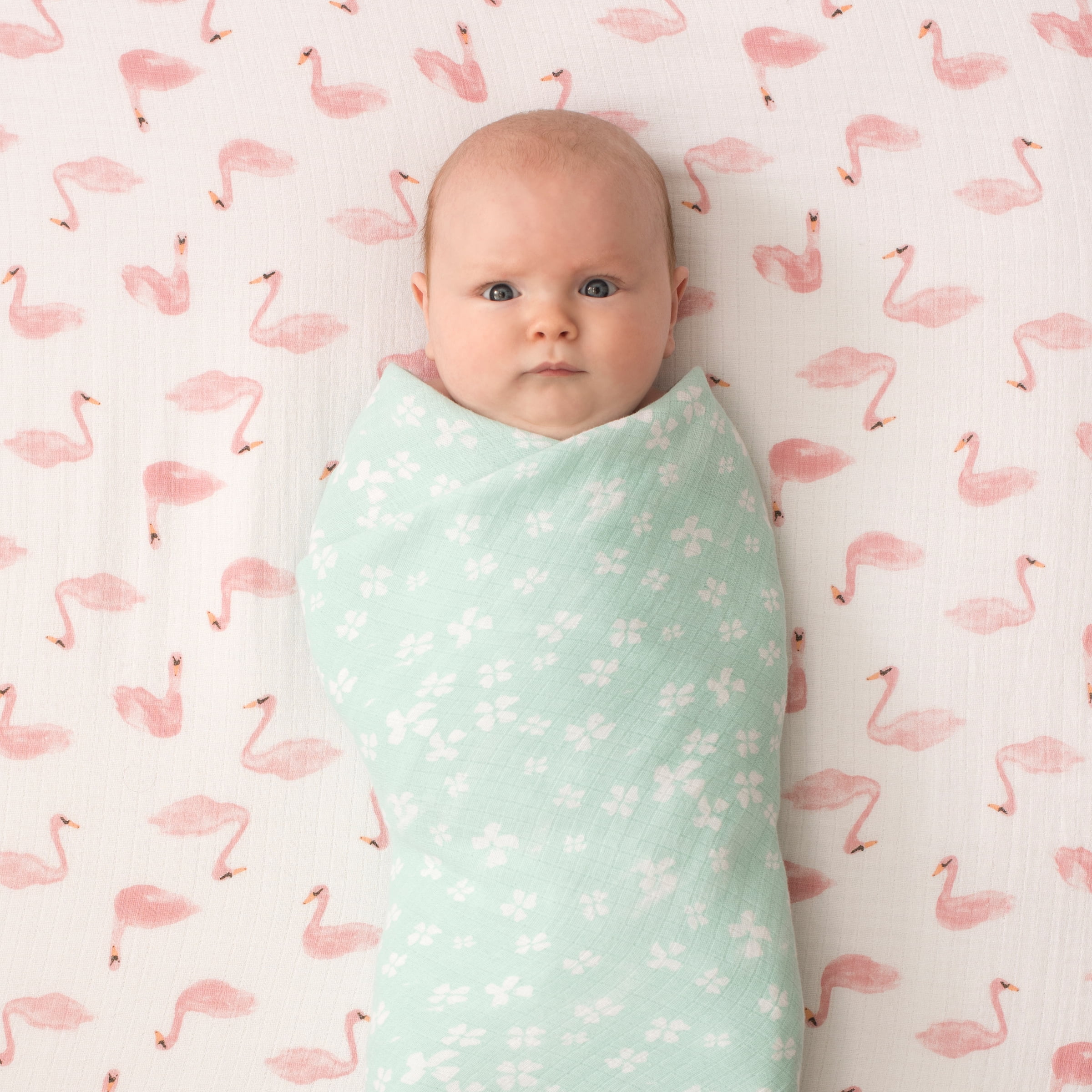 aden + anais Essentials 4-Pack Cotton Muslin Swaddle Blankets, Briar Rose