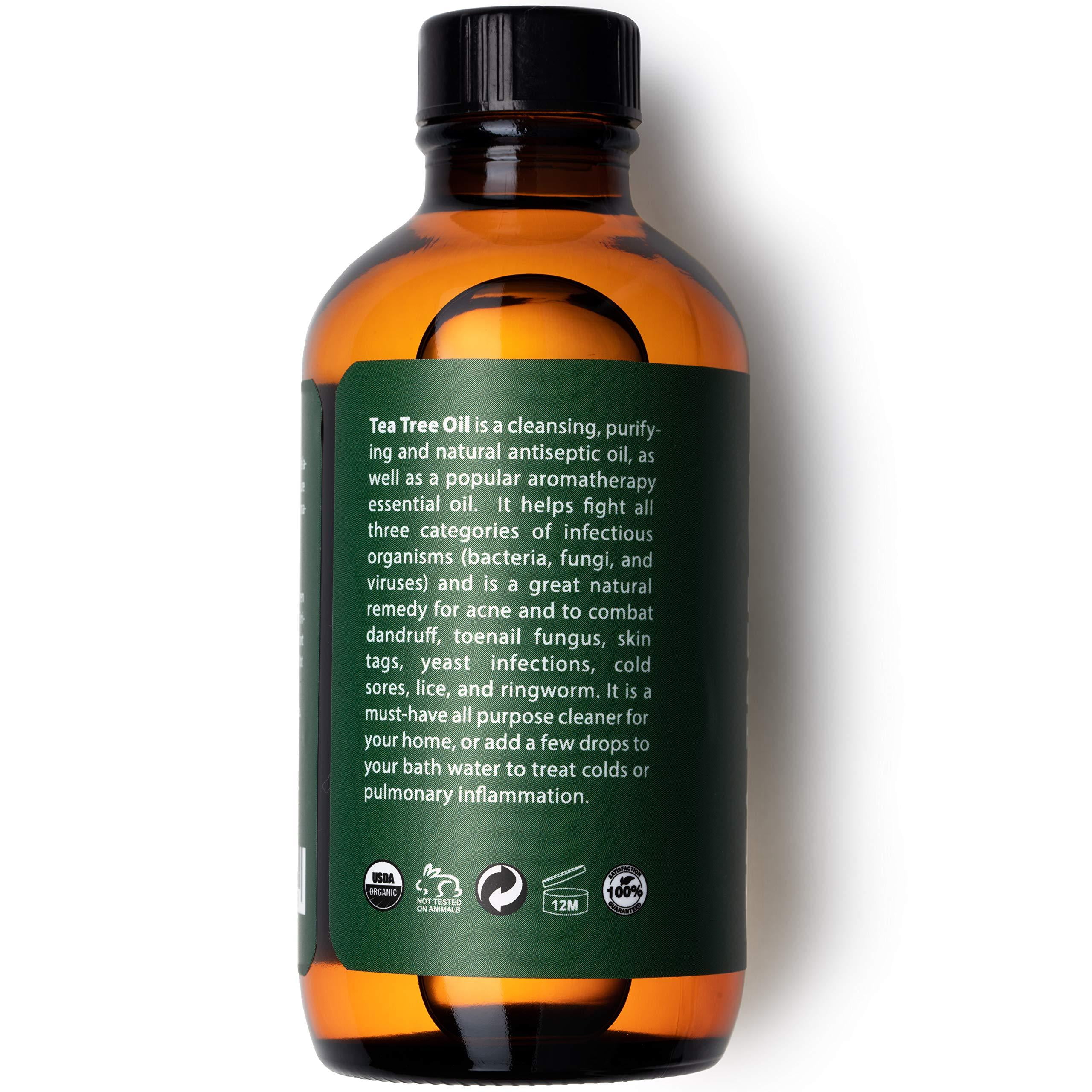 Eve Organic Tea Tree Oil (4oz) | Pure Tea Tree Oil Melaleuca Alternifolia for Skin, Scalp, Nail Health and Aromatherapy | Treatment, Lice Treatment and Skin Tag Remover - Walmart.com