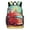 HuWng-3, variant on Retro Futuristic Vehicle Designs Backpack Travel Laptop Casual College Daypack Back to Bag