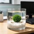 thumbnail image 5 of Cififendec Artificial Aquarium Plants, 7.87"×7.09", Non-Toxic Fake Seaweed Ornaments, Realistic Plastic Water Grass Decor for Fish Tank Landscaping, 5 of 5