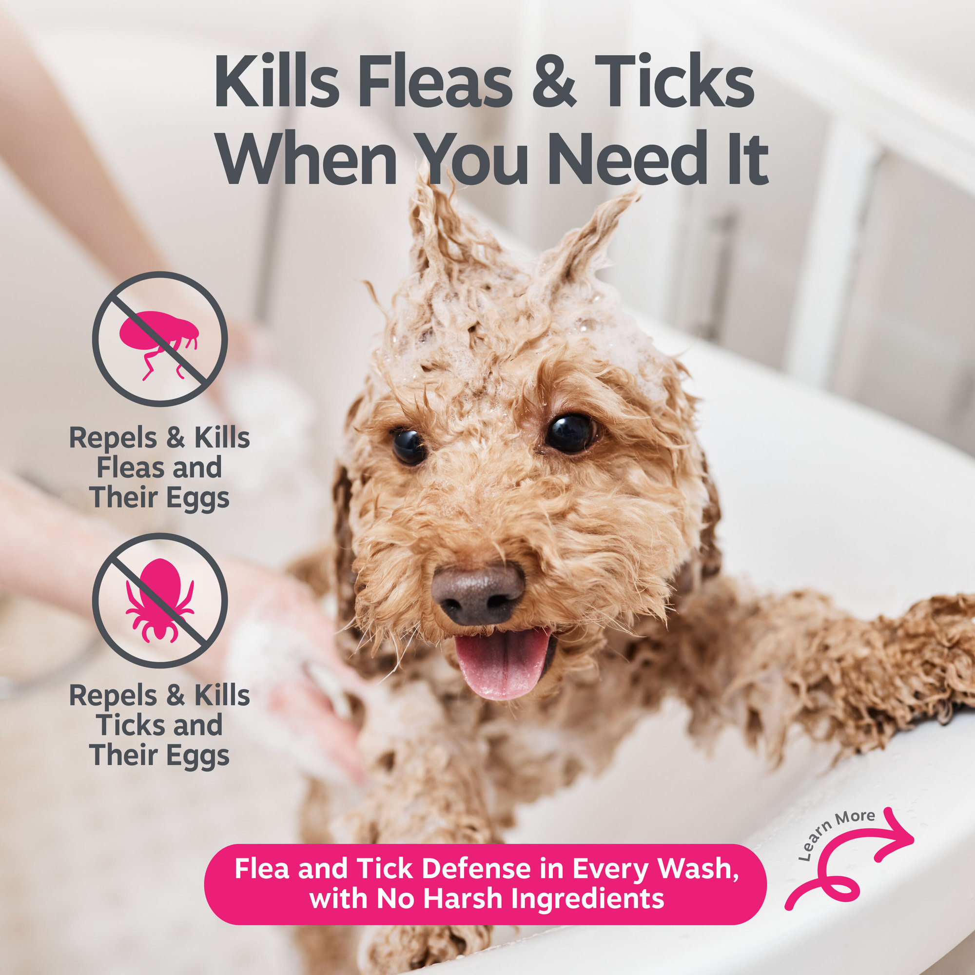 Zesty Paws Flea and Tick Shampoo for Dogs, 16 oz photo 3