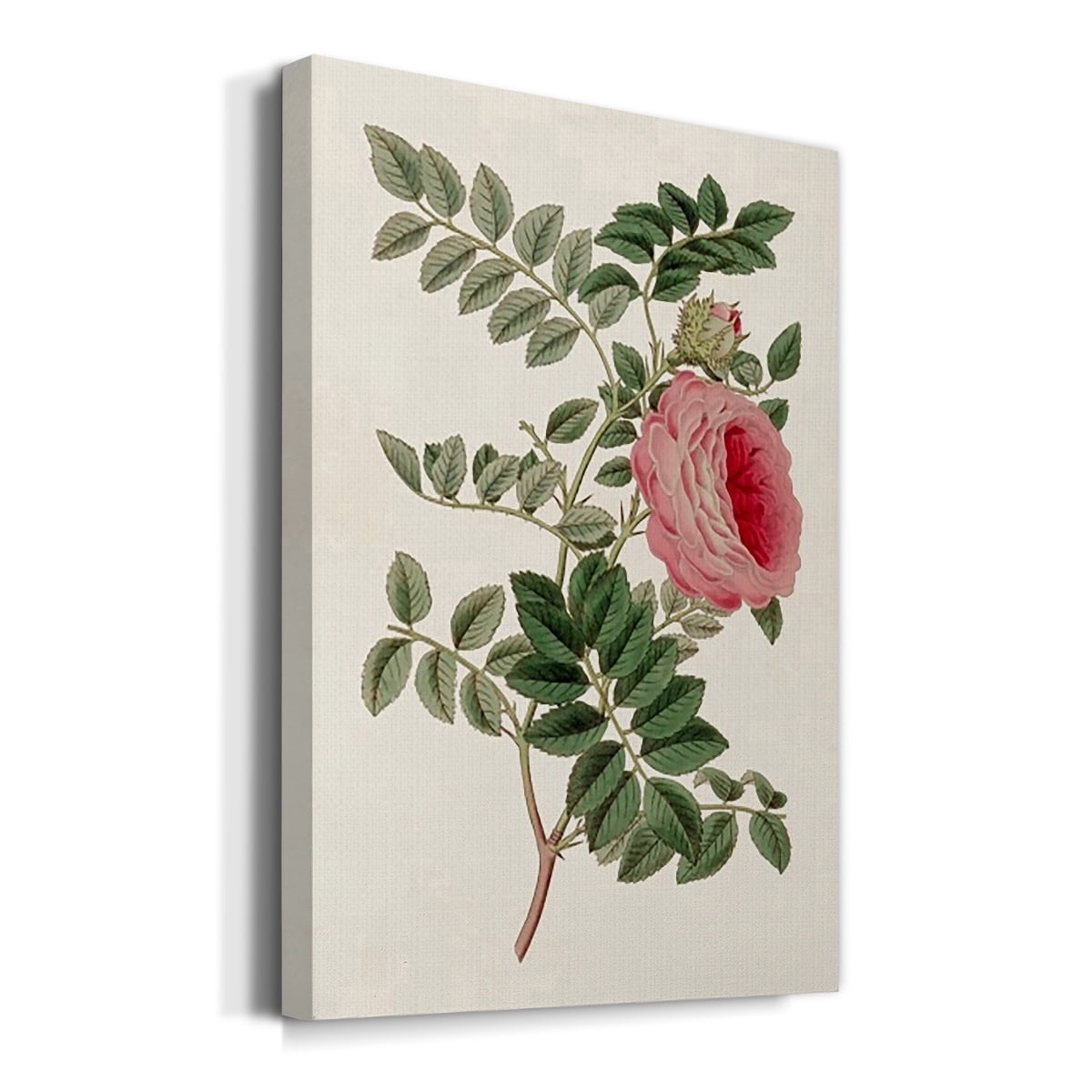 Pink Floral Mix I Premium Gallery Wrapped Canvas - Ready to Hang