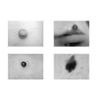 thumbnail image 4 of Bolígrafo descalcificador de topo blanco pequeño Home de 1 punta color topo, 4 of 5