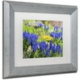 thumbnail image 2 of Trademark Fine Art "Grape Hyacinth" Canvas Art by Kurt Shaffer, White Matte, Silver Frame, 2 of 4