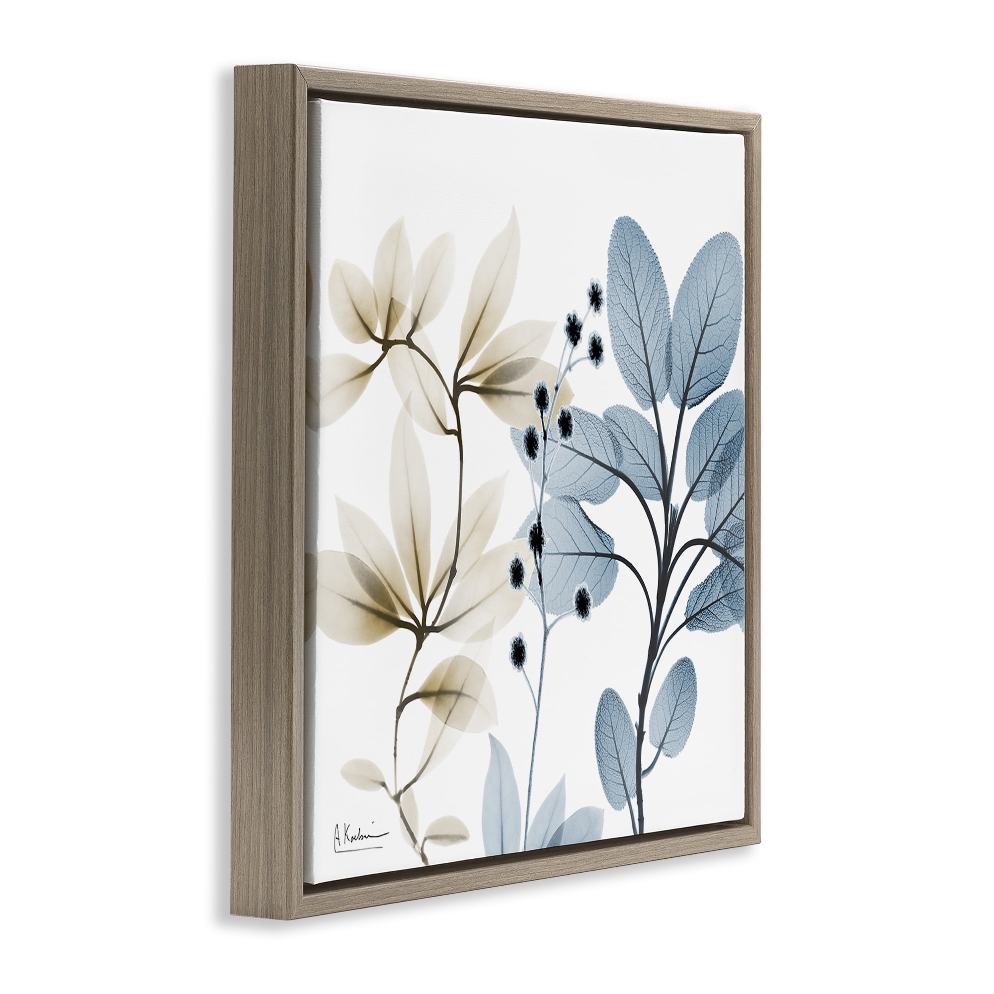 Stupell Industries Modern Herb Sprigs Botanical & Floral Painting Brown Floater Framed Canvas Art Print Wall Art, 25 x 25