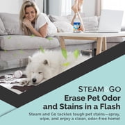 STEAM AND GO Multipurpose Cleaner and Stain Remover, All Purpose Cleaner, Orange Scent, 32 fl oz
