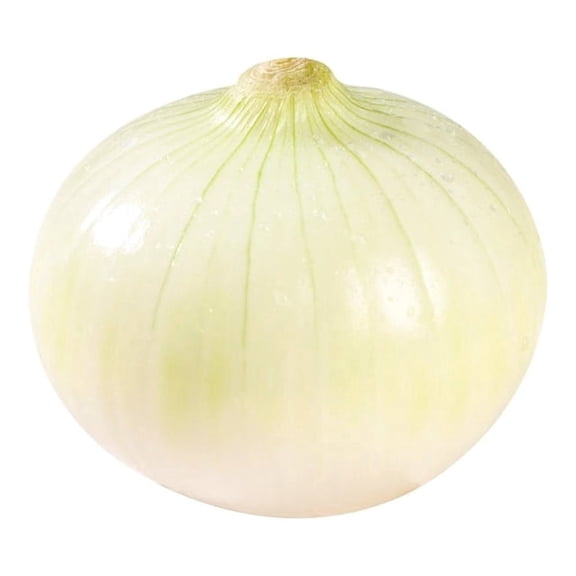 Cebolla Blanca por Kilo