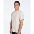 thumbnail image 2 of Fruit of the Loom HD Cotton Short Sleeve T-Shirt, 2 of 5