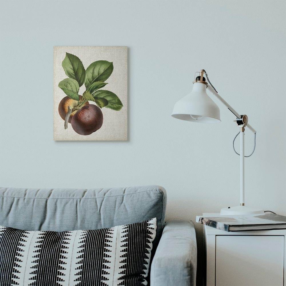 Stupell Industries Vintage Fruit Painting Canvas Wall Art by Vision Studio
