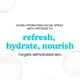 thumbnail image 4 of Skin Mist Timeless Skin Care HA Matrixyl 3000 con pepino 120 ml, 4 of 7