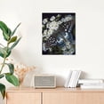 thumbnail image 7 of Wild Animals,Beautiful Butterfly Poster Canvas,Dining Room Decor, Bedroom Art, Wall Decor Living Room, Wall Art, Frameless 20x30inch, 7 of 7