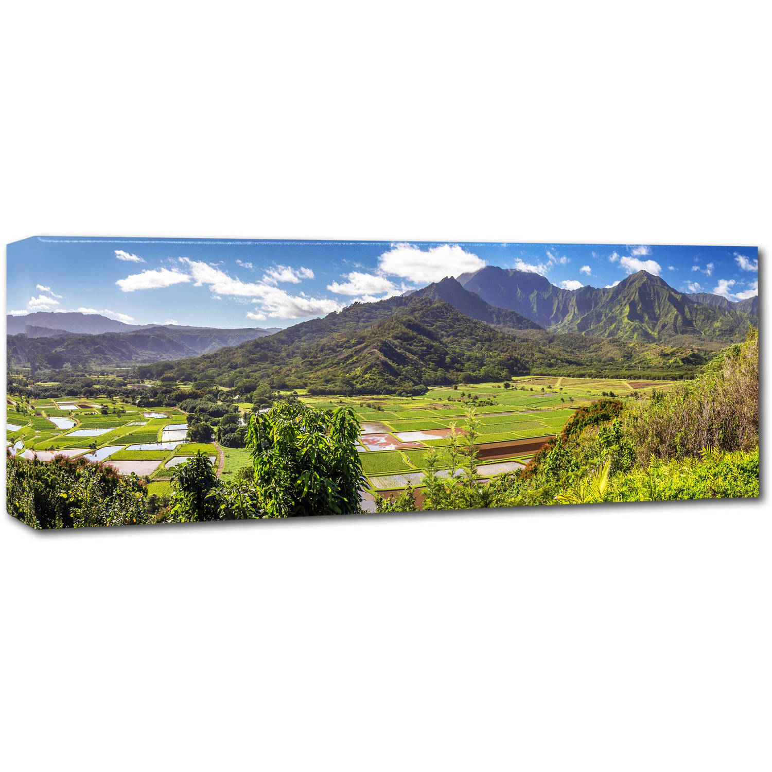 hanalei kauai by pierre leclerc, 10x32-inch canvas wall art