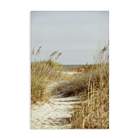 Stupell Industries Sandy Path with Reeds Landscape Photography Gallery Wrapped Canvas Art Print Wall Art, 16 x 24