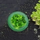 thumbnail image 5 of Collares de caracol parada de caracol ahorro de agua anillos de protección de caracol herramienta de protección de jardín, 5 of 6